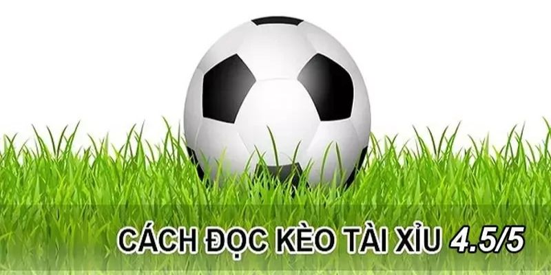 Kèo tài xỉu 4.5-5 Cách đọc và phân tích kèo tài xỉu 4.5-5