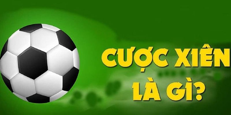 Cược xiên bóng đá là gì và vì sao được ưa chuộng