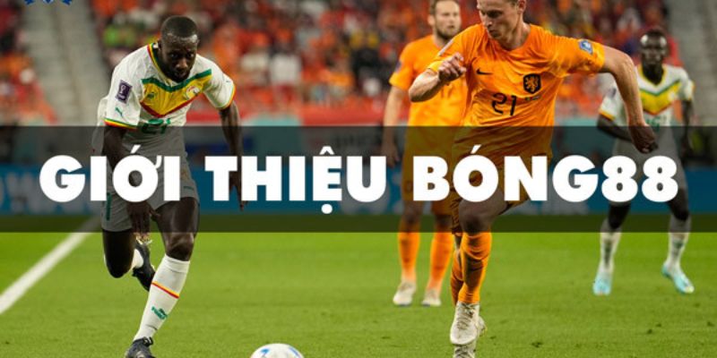 Giới thiệu Hành trình hình thành và phát triển