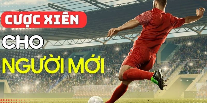 Những sai lầm thường gặp khi cược xiên bóng đá