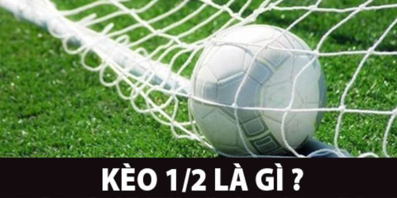 Tại sao cần hiểu rõ kèo 1/2 là gì