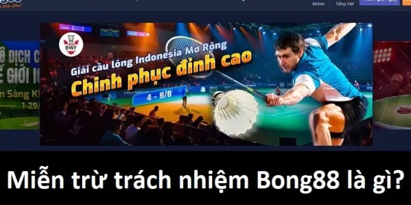 Miễn trừ trách nhiệm Tầm quan trọng của miễn trừ trách nhiệm trong môi trường giải trí