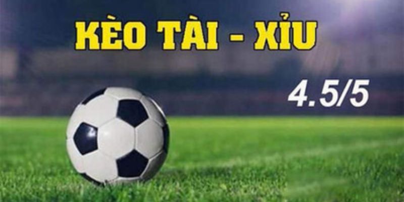 Tổng quan về kèo tài xỉu 4.5-5