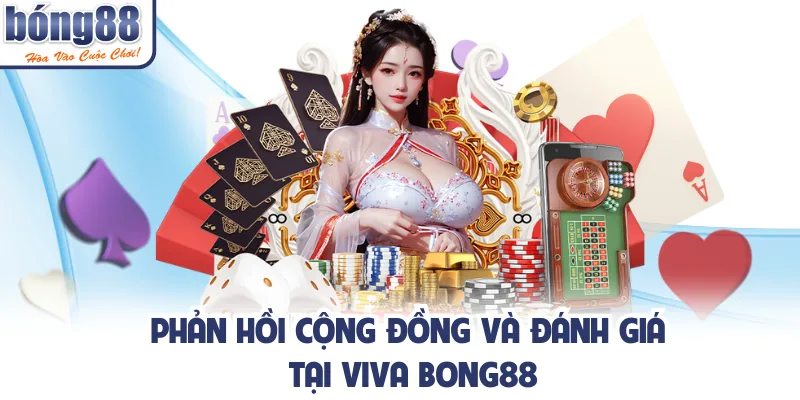 Phản hồi cộng đồng và đánh giá tại viva bong88